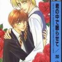  ����� Kimi no Naka de Nemurasete <small>Story & Art</small> 